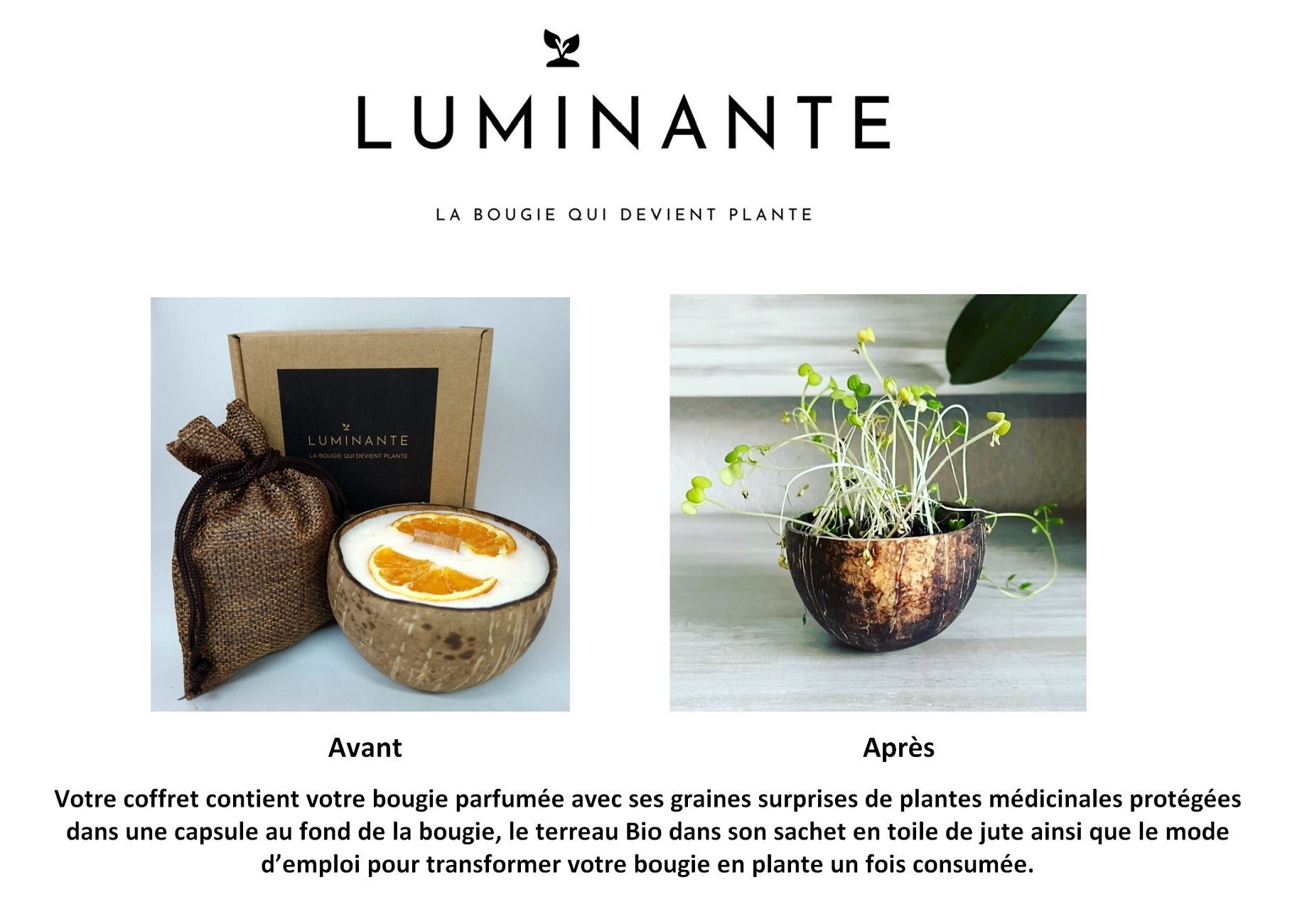 La bougie qui devient plante Fleur'Coton - Bougies - LUMINANTE