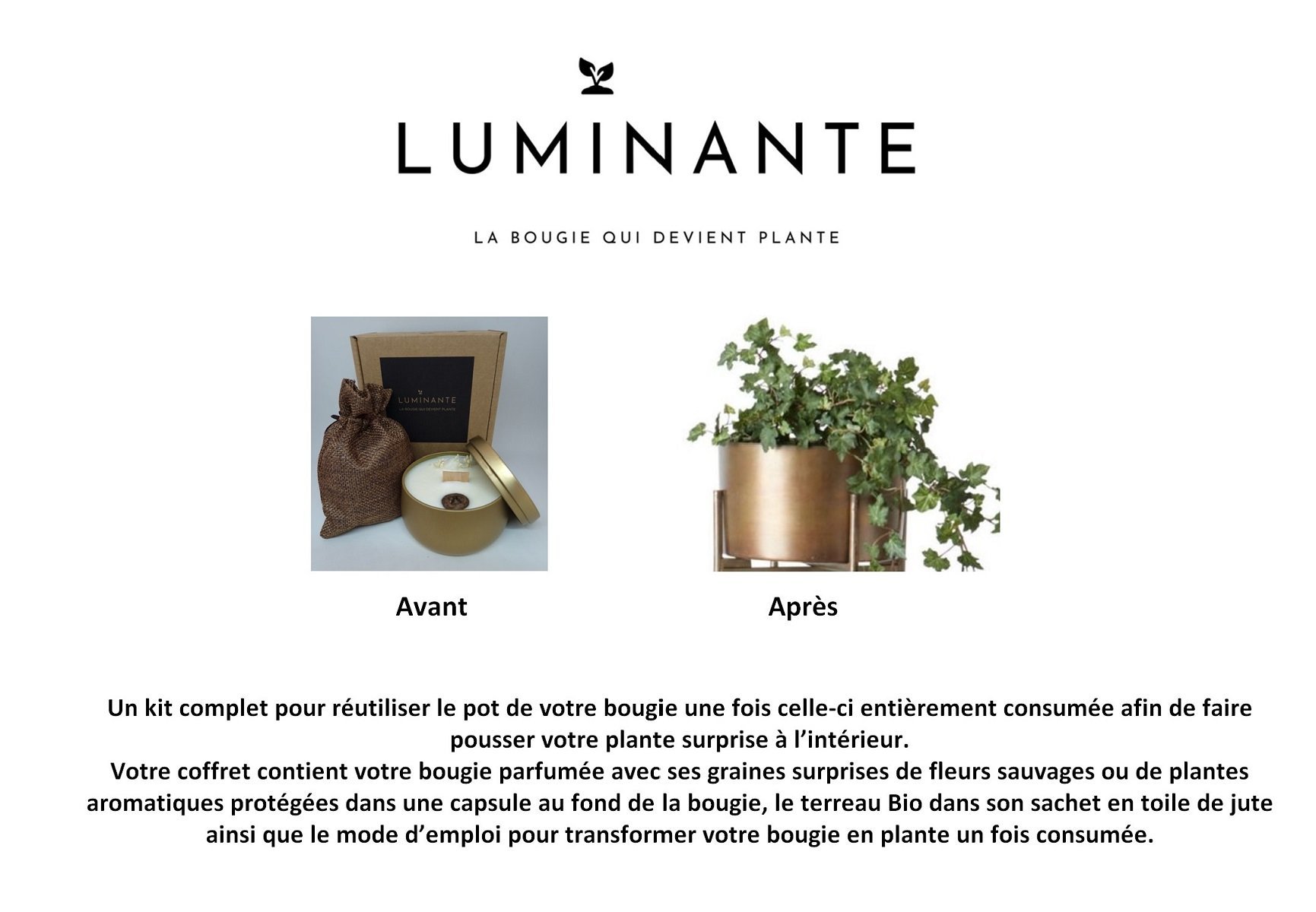 Luminante - La bougie qui devient plante - Senteur Fleur de Coton