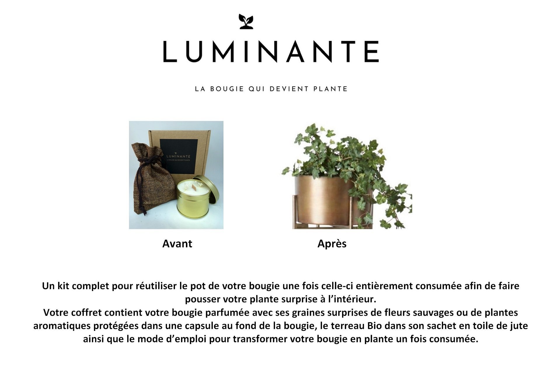 Luminante - La bougie qui devient plante - Senteur Fleur de Coton