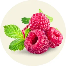 POTAGER & FRUITIERS :: Petits fruits - Jardin & Terroir.com