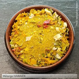 jardin-terroir.com - Mélange d'épices  HAWAIEN - recharge n° 5 (PRO) : 680g