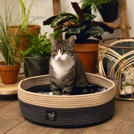 jardin-terroir.com - Beeztees Lit pour chat Minus One Xana 45x14 cm Gris et marron