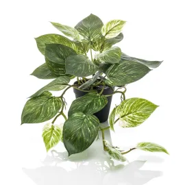 jardin-terroir.com - Emerald Buisson Scindapsus artificiel 55 cm en pot