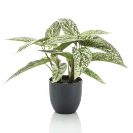 jardin-terroir.com - Emerald Calathea artificiel Dots 38 cm en pot