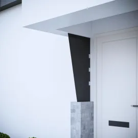 jardin-terroir.com - Panneau latéral d'auvent de porte Noir 50x100 cm Verre trempé