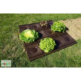 jardin-terroir.com - Lot de 6 Moduloplak - Paillage rigide et durable (+6 bouchons) - Kits de plantation