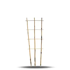 jardin-terroir.com - Echelle double en bambou 60 cm