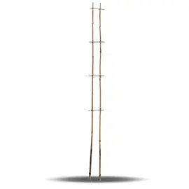 jardin-terroir.com - Echelle en bambou 120 cm