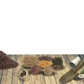 jardin-terroir.com - Graines d'Aubergine De Barbentane Conditionnement - Sachet de 1.70 gr., Quantités - +/- 450 graines