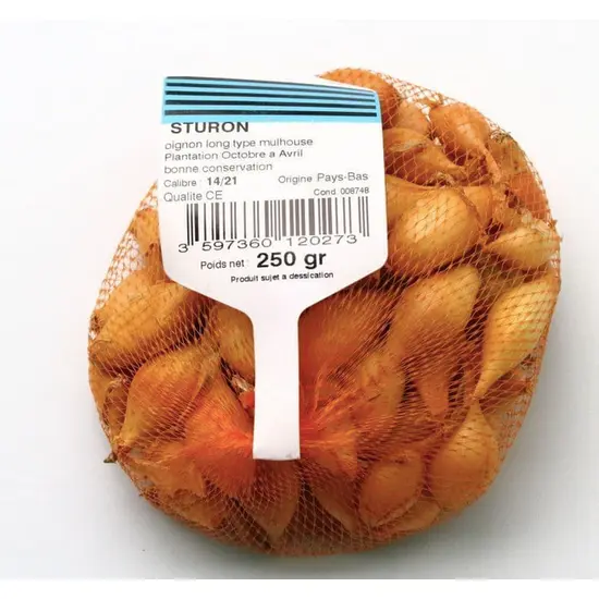 jardin-terroir.com - Oignons tubercules - Un filet de : 250 gr - Plant du potager , Options: Un filet de : 500 gr, Variété: Var.Sturon