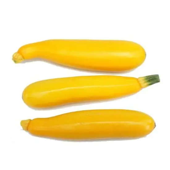 jardin-terroir.com - COURGETTE JAUNE SEBRING - 3 plants en motte de 8 cm - Plant du potager 