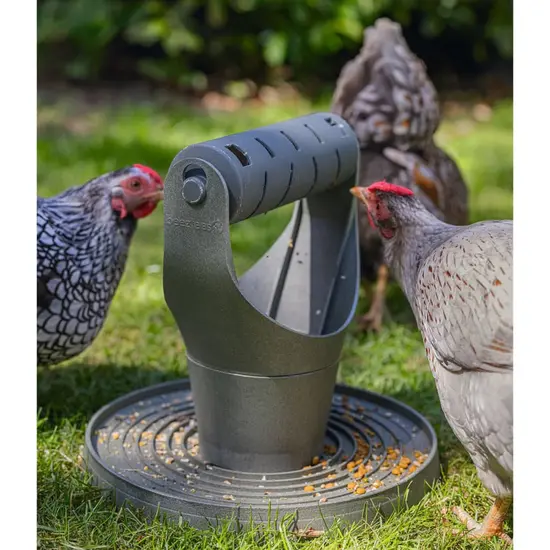 jardin-terroir.com - Beeztees Tour de jeu et à nourriture pour poulets 30x30x30 cm Gris