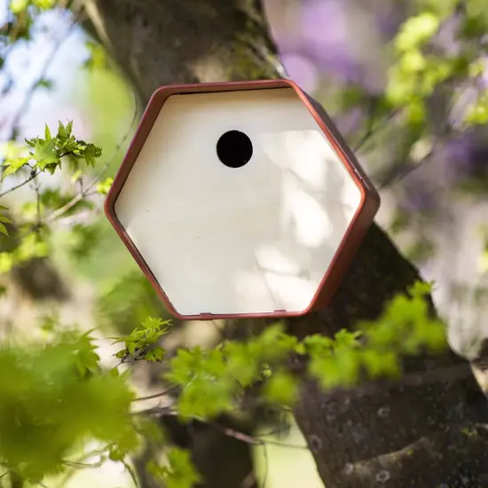 jardin-terroir.com - Capi Maison à oiseaux Hive 1 19x23x20 cm trou rond marron