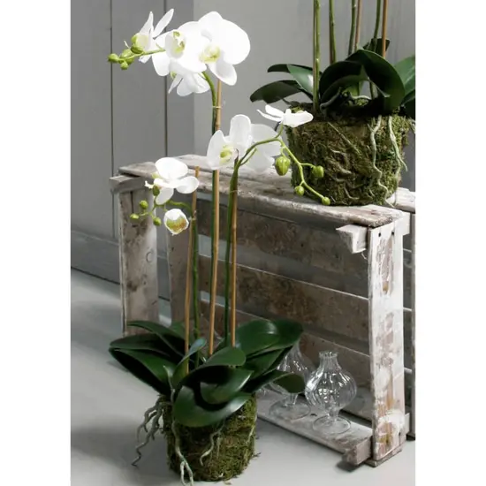 jardin-terroir.com - Emerald Orchidée phalaenopsis artificielle 70 cm Blanc