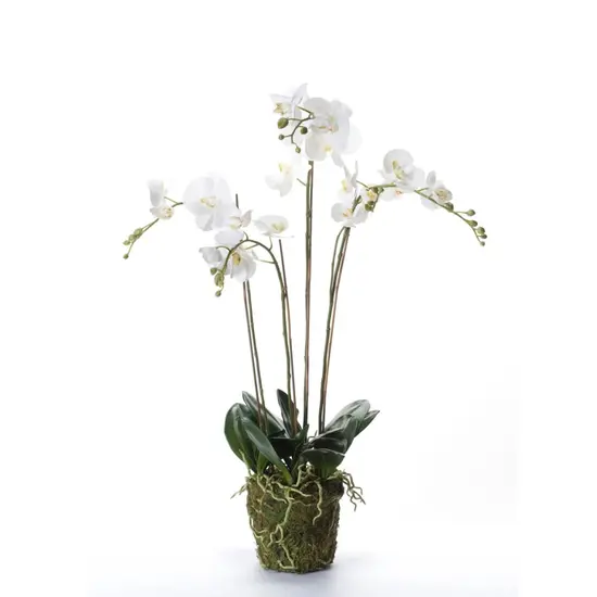 jardin-terroir.com - Emerald Phalaenopsis artificiel avec mousse Blanc 90 cm 20.355
