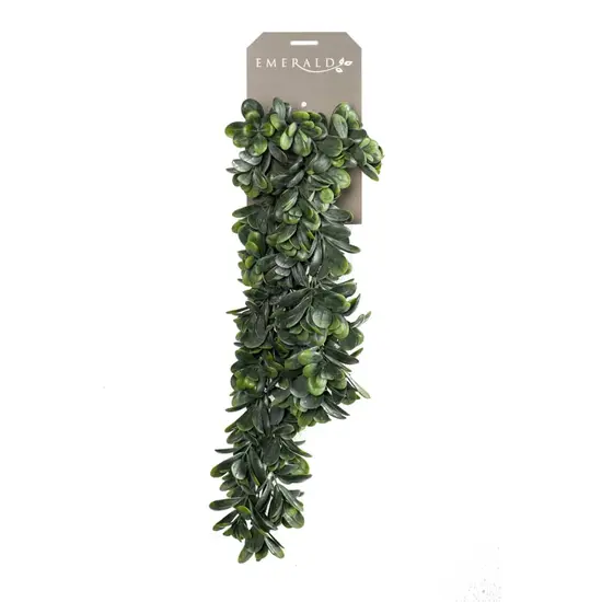 jardin-terroir.com - Emerald Crassula artificiel 80 cm