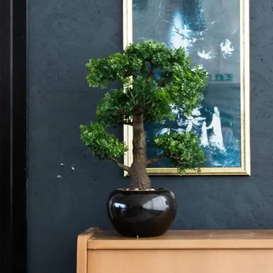 jardin-terroir.com - Emerald Mini bonsaï Ficus artificiel Vert 47 cm 420006