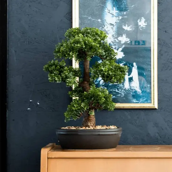 jardin-terroir.com - Emerald Mini bonsaï Ficus artificiel sur plaque marronne 43 cm