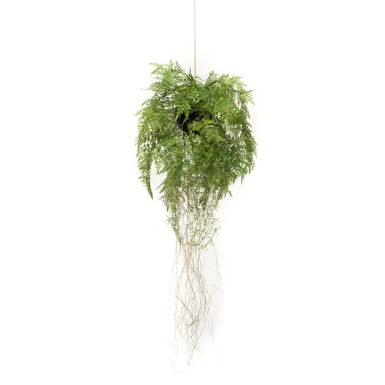 jardin-terroir.com - Emerald Fougère artificielle suspendue avec racines 35 cm