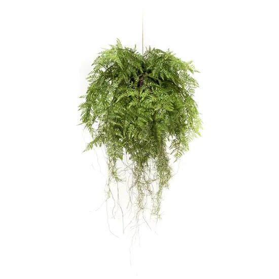 jardin-terroir.com - Emerald Fougère artificielle suspendue avec racines 55 cm