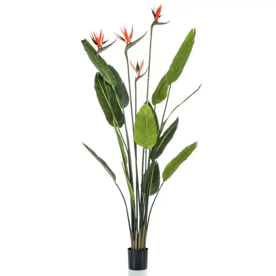 jardin-terroir.com - Emerald Plante artificielle Strelitzia avec 4 fleurs en pot 150 cm