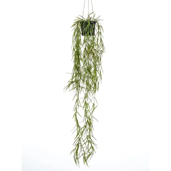 jardin-terroir.com - Emerald Buisson suspendu de hoya artificiel 80 cm en pot