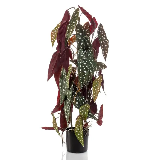 jardin-terroir.com - Emerald Bégonia Maculata artificiel 75 cm en pot
