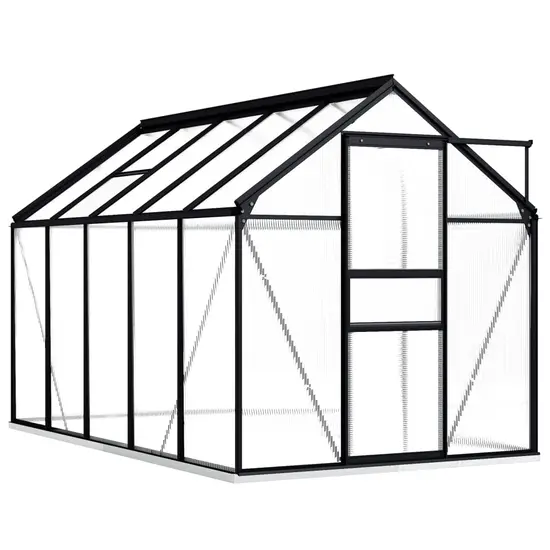 jardin-terroir.com - Serre avec cadre de base Anthracite Aluminium 5,89 m²