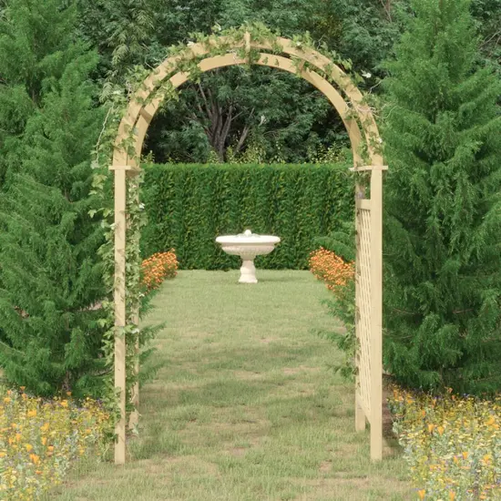 jardin-terroir.com - Arche avec treillis 141x97x243 cm Bois de pin massif imprégné