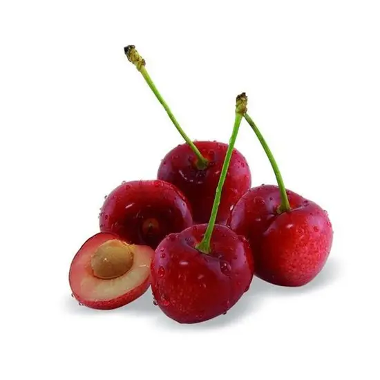 jardin-terroir.com - Cerisier nain Chérie Cherry - Nains de jardins® Conditionnement - Pot de 5L