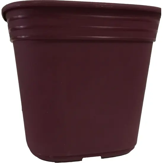 jardin-terroir.com - Pot de culture carré elezia 4,5 litres raisin
